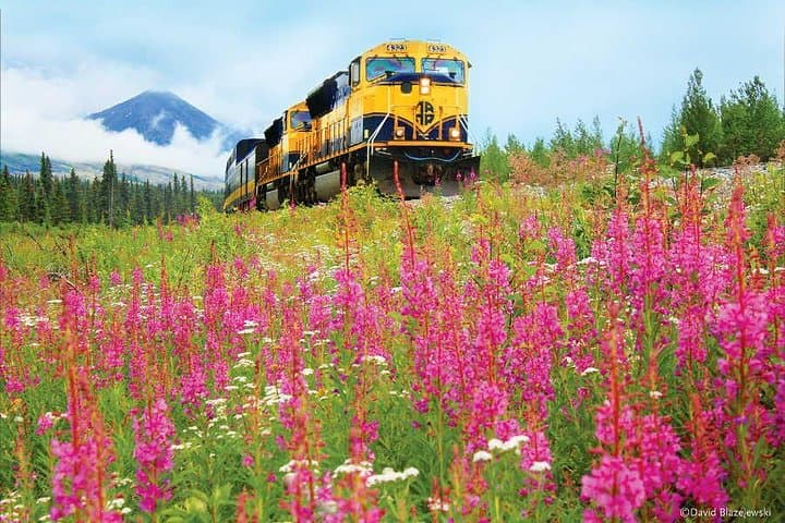 Scenic Alaska Railroad Journey: Anchorage to Seward Same Day Round-Trip photo 3