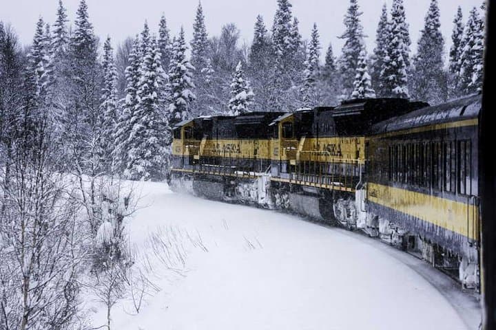 Alaska Railroad Aurora Winter Train: Winter Journey from Fairbanks to Anchorage photo 6
