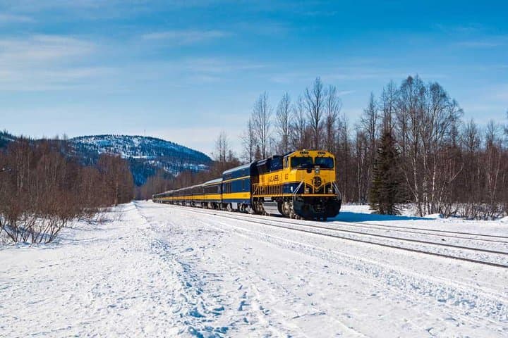Aurora Winter Train: Anchorage to Fairbanks Scenic One-Way Journey photo 2