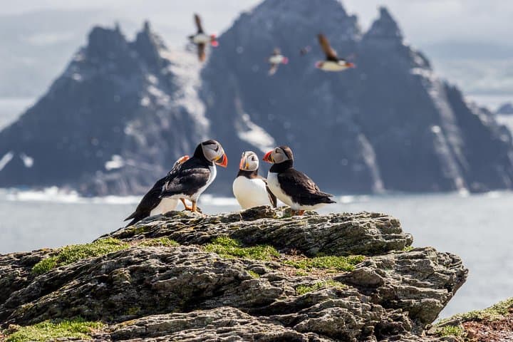 Explore Ireland’s Wild Beauty: 7-Day Small Group Adventure from Dublin to the Islands