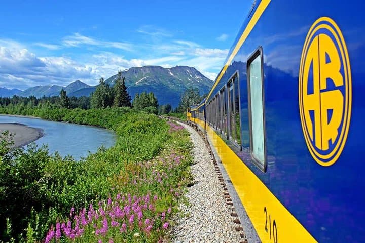 Denali Star: Anchorage to Denali One-Way Rail Journey photo 2