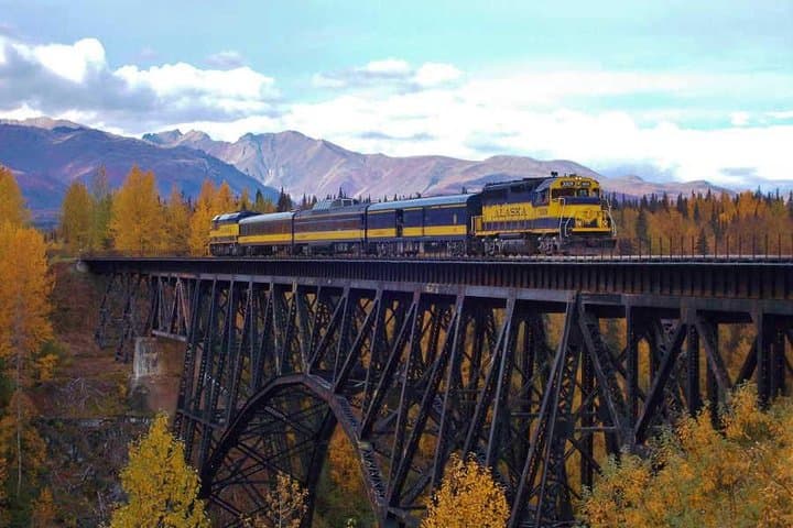 Denali Star: Anchorage to Denali One-Way Rail Journey photo 3