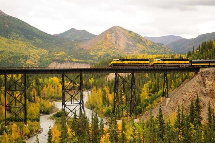Denali to Anchorage: Alaska Railroad Scenic One-Way Journey photo 3