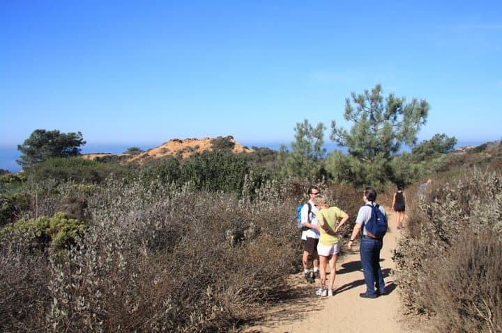 Runyon Canyon Private Guided Hike — 2-Hour Hollywood Hills Tour photo 4