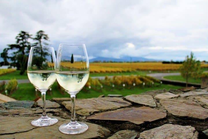 Winter Wine & Gourmet Trail of Marlborough: Progressive 5-Venue Tasting from Blenheim photo 6