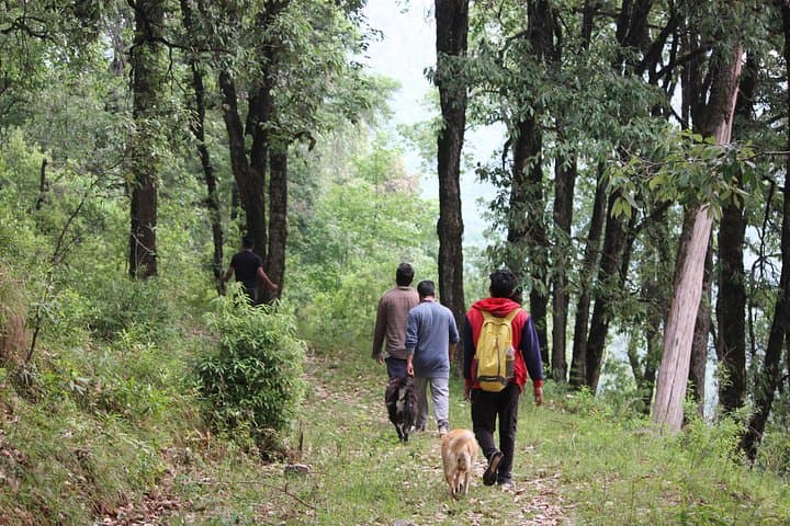 Nainital Experiential Treks: Three-Day Survival & Summit Walks in the Kumaon Foothills photo 3
