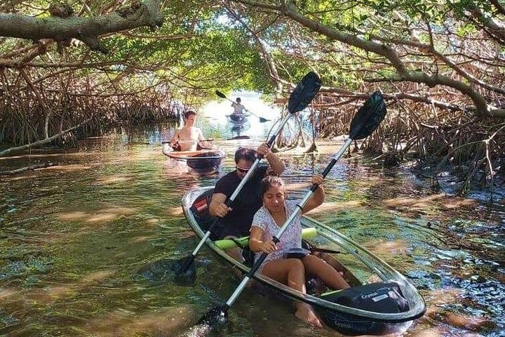 Clear Kayak Tour in Shell Key & Fort De Soto — Guided Crystal Kayaks photo 5