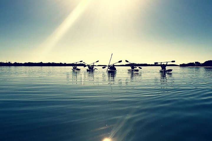 Clear Kayak Tour in Shell Key & Fort De Soto — Guided Crystal Kayaks photo 6