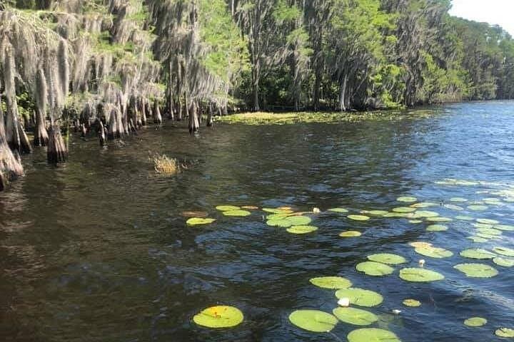 Stand Up Paddleboard Rental on Lake Bryan — 2-Hour SUP from Lake Buena Vista photo 4