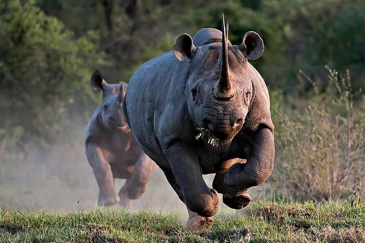 Matopos Half Day Excursion: World’s View, San Rock Paintings & Wildlife Near Bulawayo photo 1