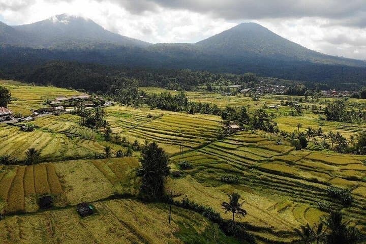 Western Bali Temples, Jatiluwih Rice Terraces & Tanah Lot Sunset Tour photo 3