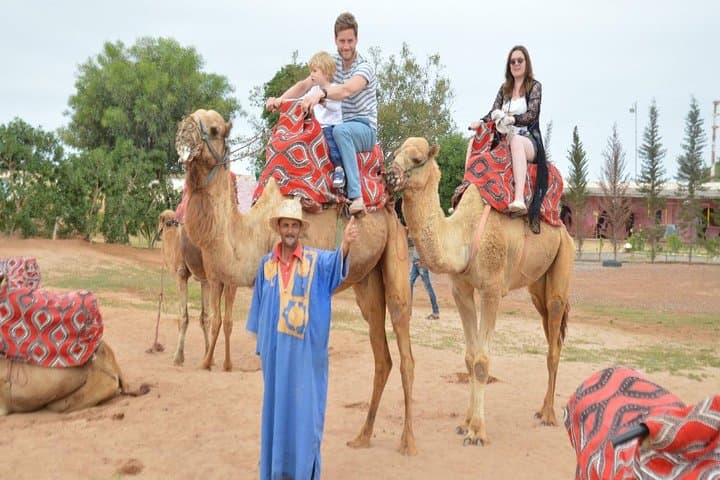 Agadir Camel Ride Shore Excursion: Eucalyptus Forest & Souss River Experience