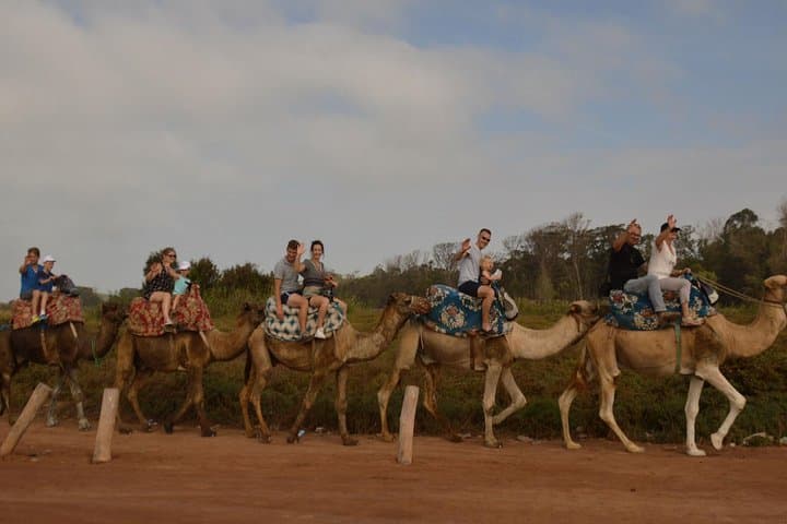 Agadir Camel Ride Shore Excursion: Eucalyptus Forest & Souss River Experience photo 3