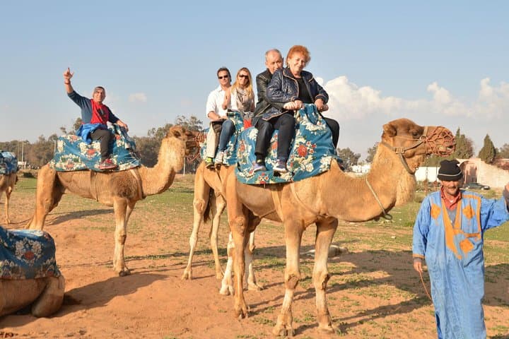 Agadir Camel Ride Shore Excursion: Eucalyptus Forest & Souss River Experience photo 4