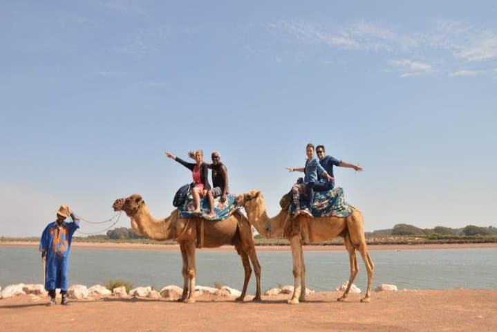 Agadir Camel Ride Shore Excursion: Eucalyptus Forest & Souss River Experience photo 5