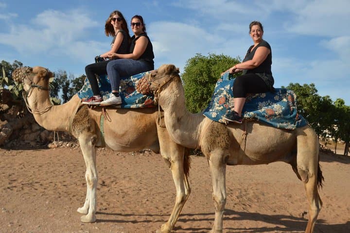 Agadir Camel Ride Shore Excursion: Eucalyptus Forest & Souss River Experience photo 6