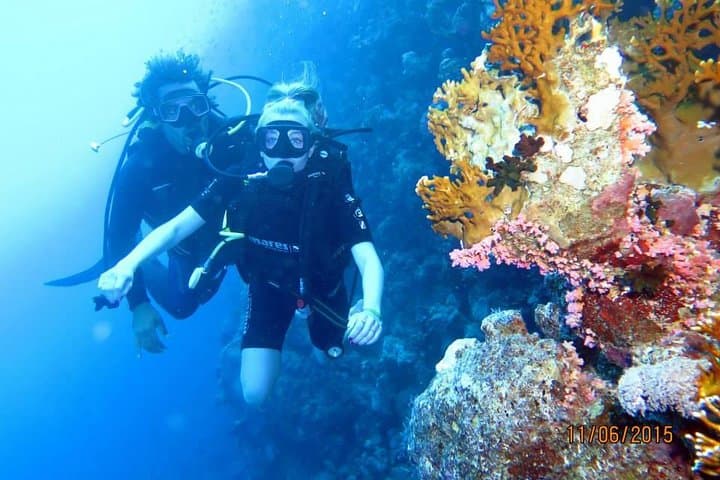 Hurghada Red Sea Diving: Half-Day Boat Dives to Coral Gardens photo 2
