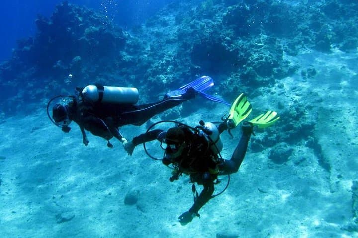 Hurghada Red Sea Diving: Half-Day Boat Dives to Coral Gardens photo 3