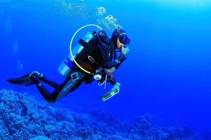 Hurghada Red Sea Diving: Half-Day Boat Dives to Coral Gardens photo 4