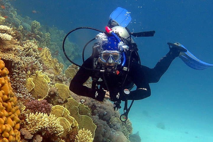 Hurghada Red Sea Diving: Half-Day Boat Dives to Coral Gardens photo 6