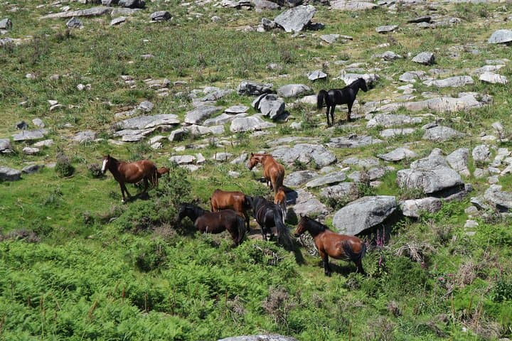 4x4 Serra d'Arga Private Tour: Half-Day Jeep Adventure from Viana do Castelo photo 6