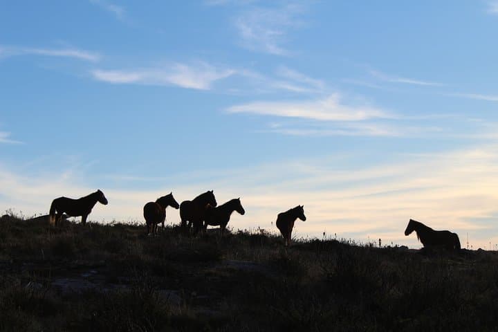 4x4 Serra d'Arga Private Tour: Viana do Castelo Off‑Road Day Trip photo 2