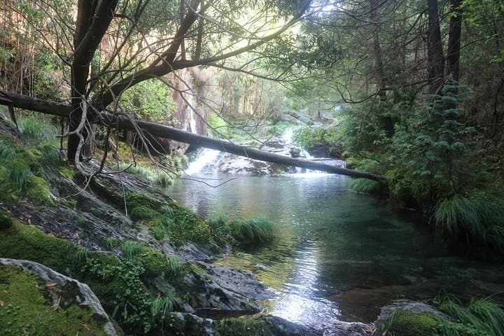 4x4 Serra d'Arga Private Tour: Viana do Castelo Off‑Road Day Trip photo 6