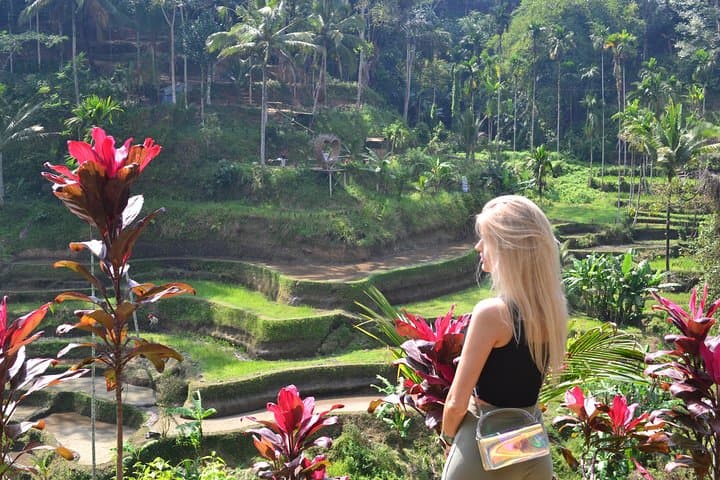 3-Day Bali Highlights: Ubud, Beaches, Volcano & Temple Tour (All-Inclusive) photo 3