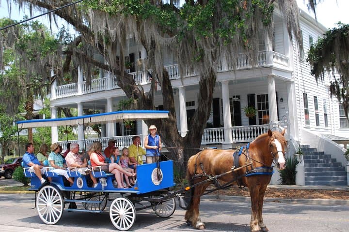 Beaufort Horse-Drawn Carriage Tour — Old Beaufort Historic District photo 1