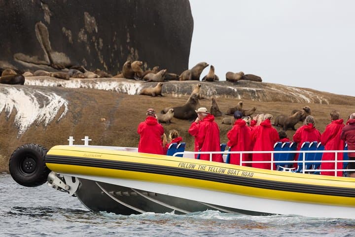 Wilsons Promontory Amphibious Wilderness Cruise — Tidal River to South Point photo 5