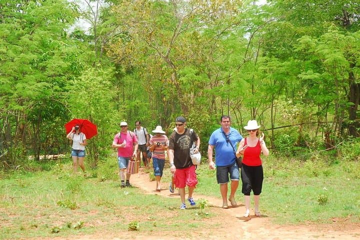 Trekking to Palaung Villages from Kalaw: 6-Hour Cultural Forest Hike