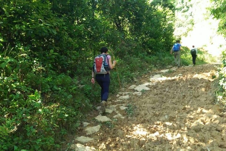 Trekking to Palaung Villages from Kalaw: 6-Hour Cultural Forest Hike photo 2