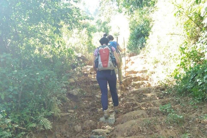 Trekking to Palaung Villages from Kalaw: 6-Hour Cultural Forest Hike photo 4