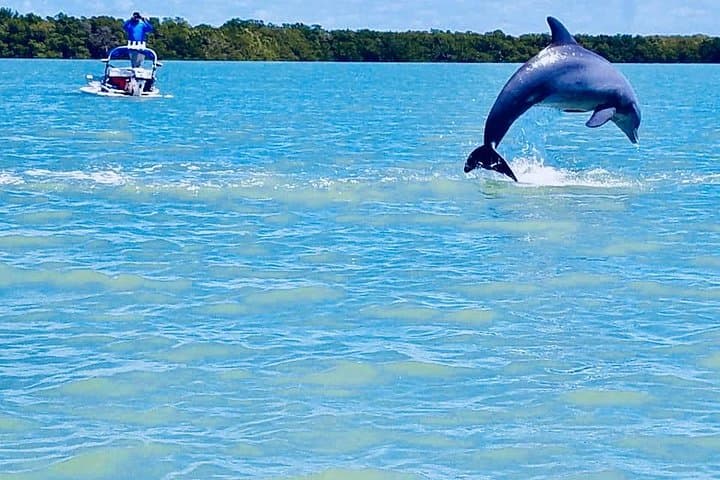 Pilot Your Own CraigCat Through Florida’s 10,000 Islands: A Naples Backwater Adventure photo 4