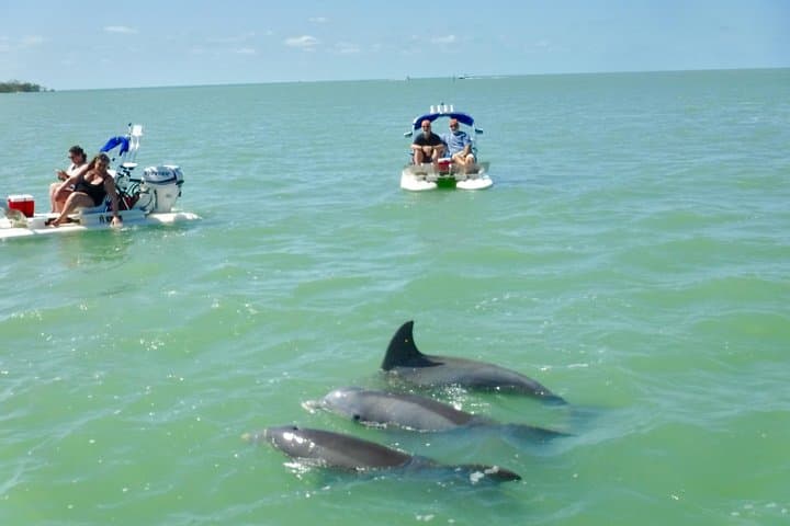 Pilot Your Own CraigCat Through Florida’s 10,000 Islands: A Naples Backwater Adventure photo 6