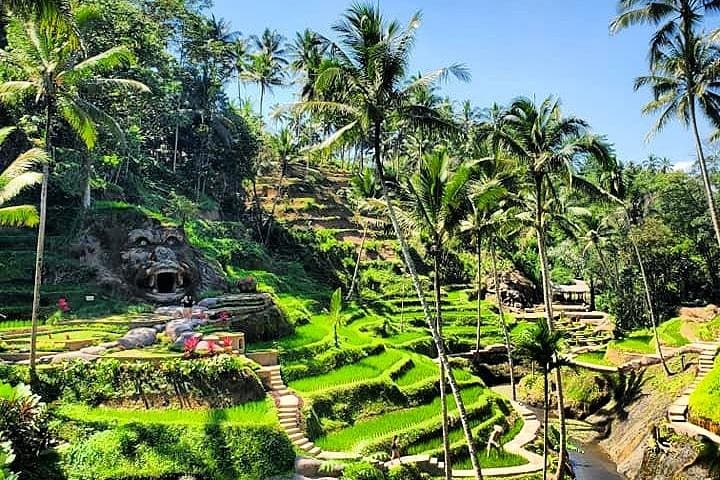 Design Your Own Bali Private Driver: Flexible Day Trips from Seminyak photo 5