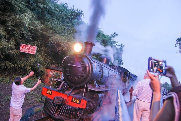 Sunset Dinner Aboard the Royal Livingstone Express: Steam Train to Victoria Falls