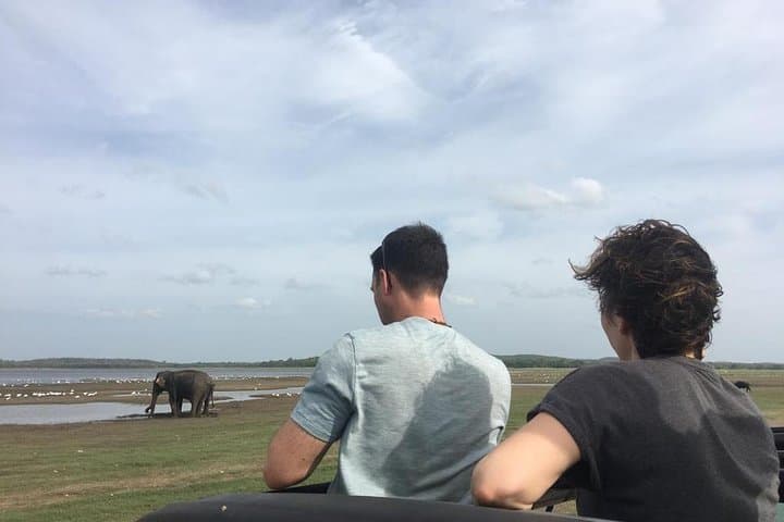 Private Jeep Safari at Minneriya National Park: See Sri Lanka's Giant Elephant Herds