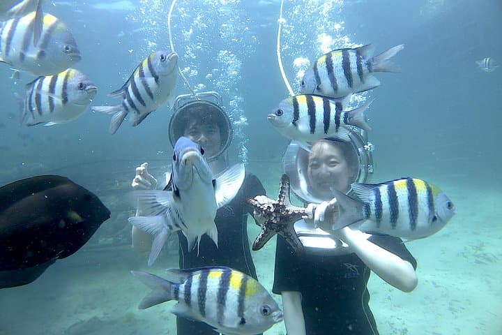 Bali Seawalker Nusa Dua: Walk the Coral Reefs Without Diving photo 5