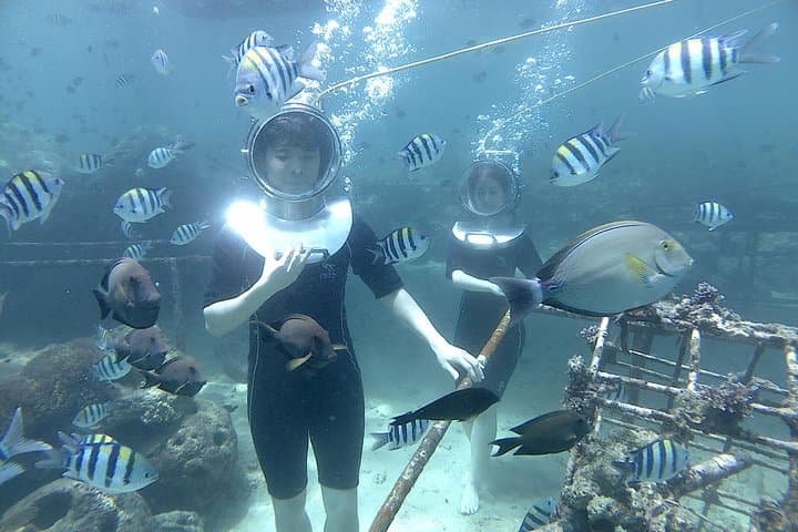 Bali Seawalker Nusa Dua: Walk the Coral Reefs Without Diving photo 4