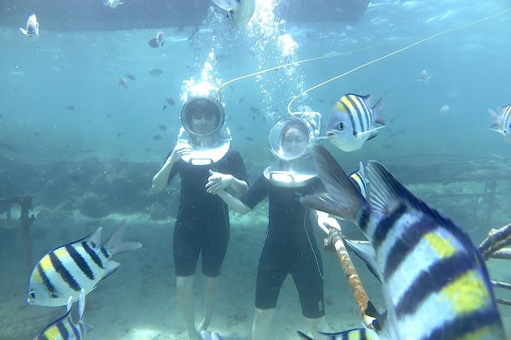 Bali Seawalker Nusa Dua: Walk the Coral Reefs Without Diving photo 3