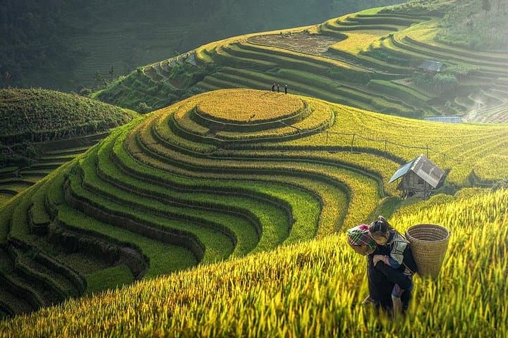 Sapa 2-Day Trekking Tour from Hanoi: Y Linh Ho, Lao Chai & Cat Cat Villages