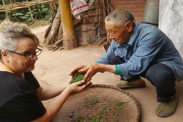 Chengdu Panda Base, Leshan Giant Buddha & Sichuan Cooking: 3-Day Cultural and Wildlife Escape photo 5