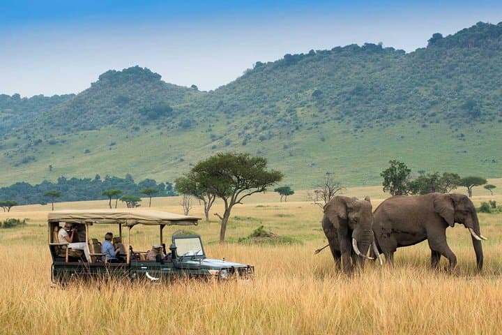 3-Day Maasai Mara Luxury Safari: Big Five, Rift Valley Views & Keekorok Lodge photo 6