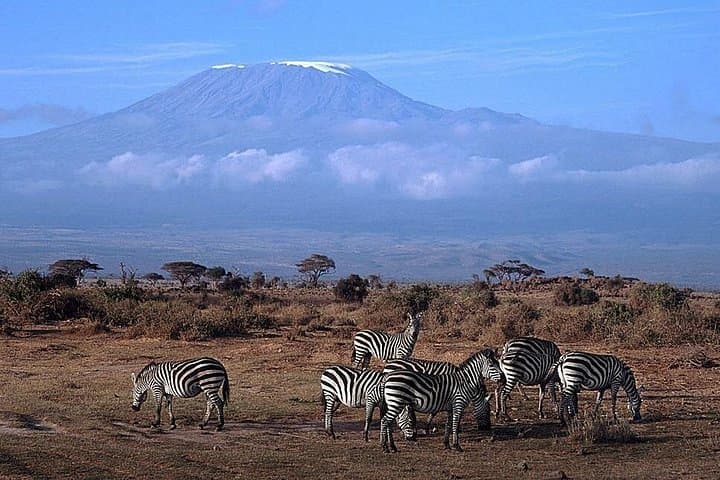 15-Day Classic Kenya & Tanzania Safari with Zanzibar Beach Escape photo 4