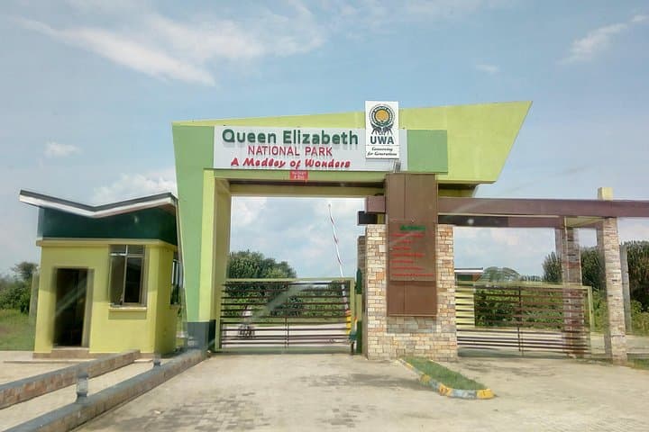 Seven Days Exploring Uganda: Murchison Falls, Queen Elizabeth & Gorilla Trekking photo 4