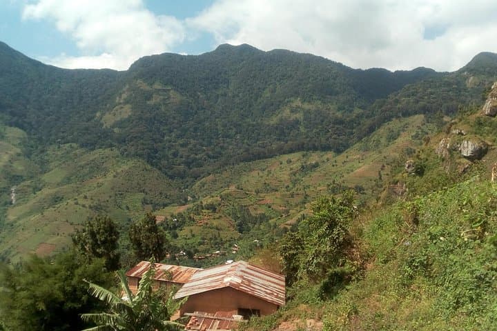 Uluguru Mountain Overnight: 3-Day Hike, Waterfalls & Luguru Village Immersion photo 6