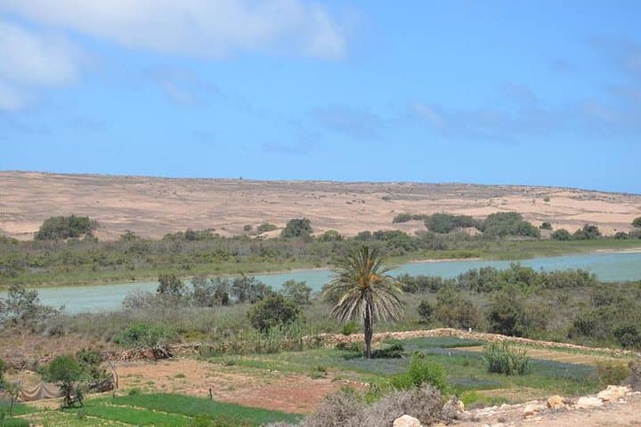 Agadir to Massa: 4x4 Dune Ride, Wild Beaches & Massa National Park Day Trip photo 4