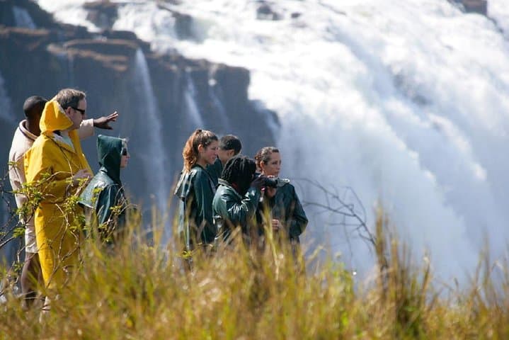 Victoria Falls Guided Rainforest Tour — Walk the Smoke That Thunders photo 2