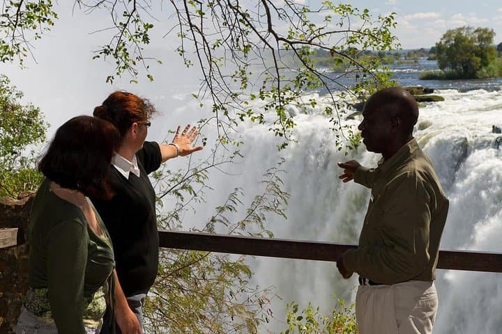 Victoria Falls Guided Rainforest Tour — Walk the Smoke That Thunders photo 3